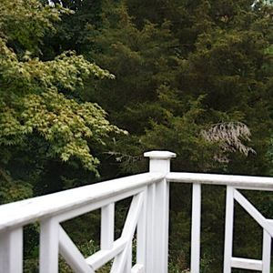 Meet your Posher, Jesse